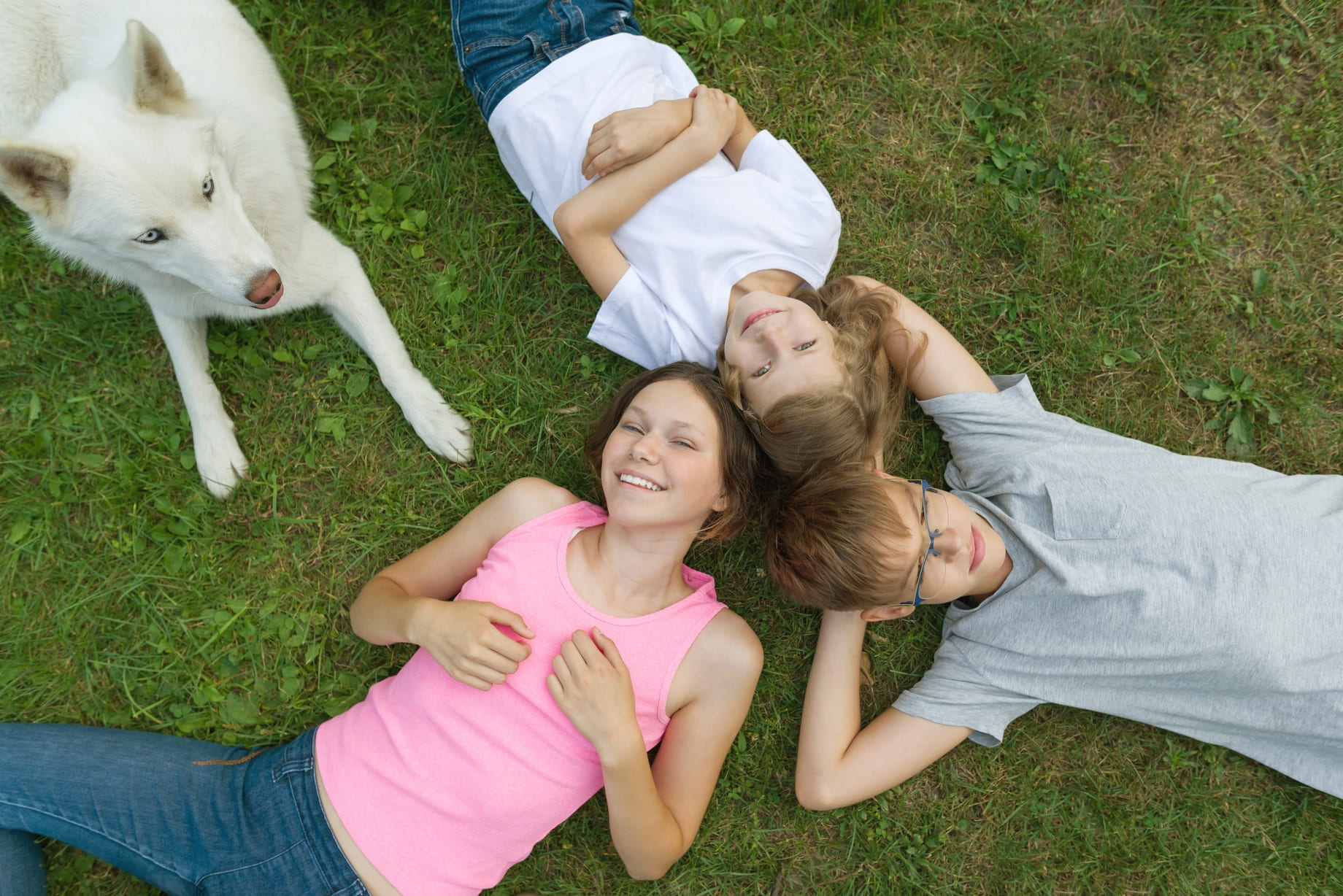 Hundeschule Bad Soden