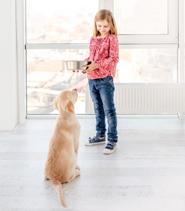 hundeschule Königstein im Taunus